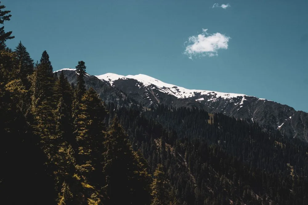 Tour landscape in Murree and Galiyat
